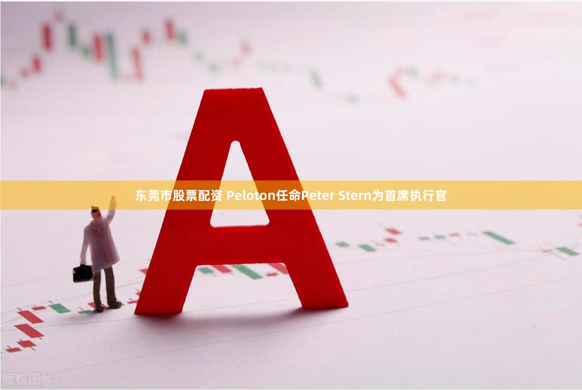 东莞市股票配资 Peloton任命Peter Stern为首席执行官