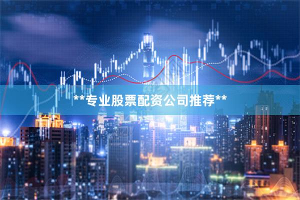 **专业股票配资公司推荐**