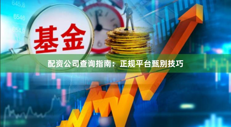 配资公司查询指南:正规平台甄别技巧