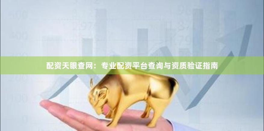配资天眼查网:专业配资平台查询与资质验证指南